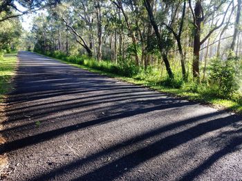 Road amidst trees in forest