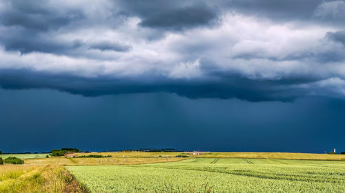 Scenic view of agricultural field against sky