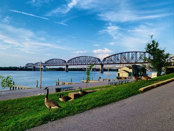 View of bridge over river against sky