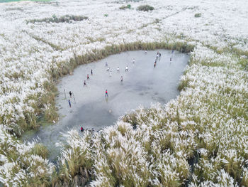 High angle view of frozen lake
