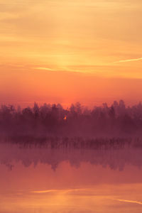 A beautiful, pink sunrise over the swamp. sun rising in wetlands, purple misty atmosphere.