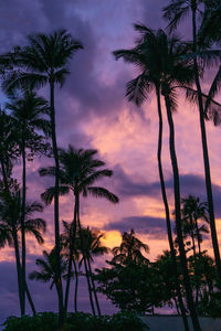 Silhouette palm trees against sky during sunset