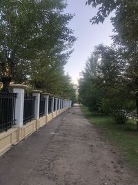 Empty road along trees