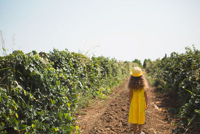 Rear view of woman standing on field against clear sky