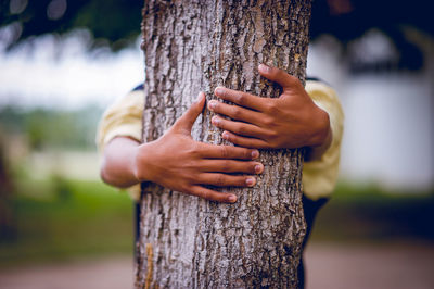 Midsection of person holding tree trunk
