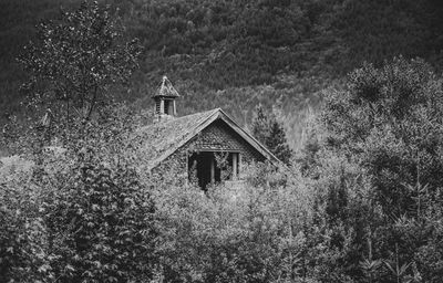 House on field against trees and building