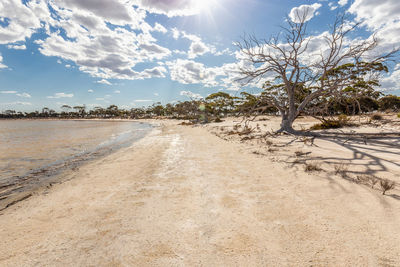 Scenic view of land against sky