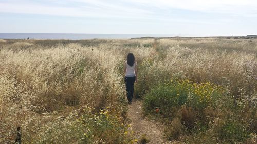 Rear view of people walking on footpath by sea