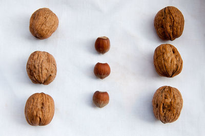 Bread against white background