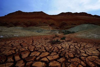 Idyllic shot of dry landscape in desert