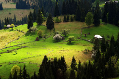 High angle view of green fields