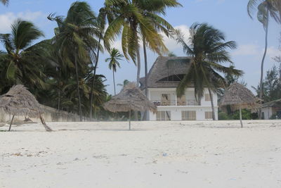 Houses by palm trees on beach against sky