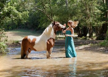 Horse standing in lake