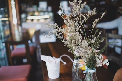 Close-up of flowers in vase on table at restaurant