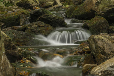 Waterfall in forest