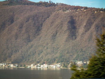 Scenic view of trees