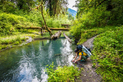 Man in river amidst trees in forest