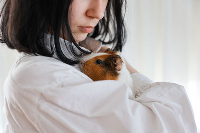 Cute guinea pig in the girl's arms, child and animal concept