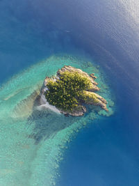 High angle view of man swimming in sea