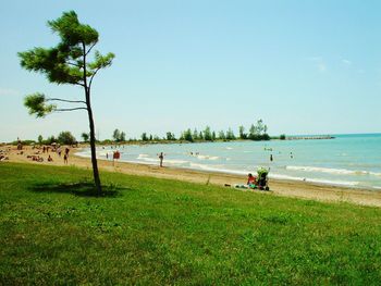 Group of people on beach
