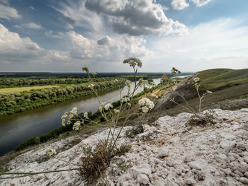 Scenic view of field against sky