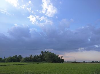 Scenic view of field against sky