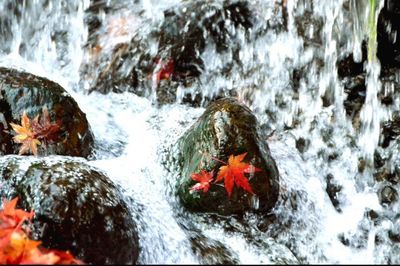 Close-up of waterfall