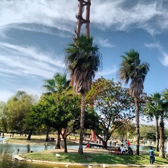 tree, sky, palm tree, cloud - sky, tree trunk, growth, cloud, incidental people, park - man made space, nature, cloudy, transportation, day, green color, men, outdoors, water, built structure, branch