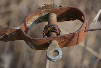 Close-up of rusty chain