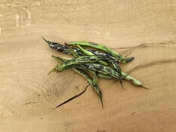 High angle view of leaf on table