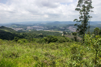 Scenic view of green landscape and sea against cloudy sky