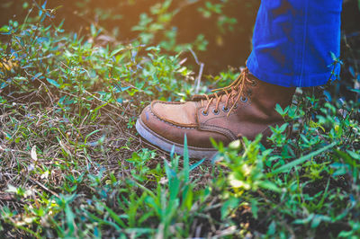 Low section of woman wearing shoe while standing on grass