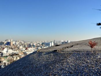 Rock against cityscape 