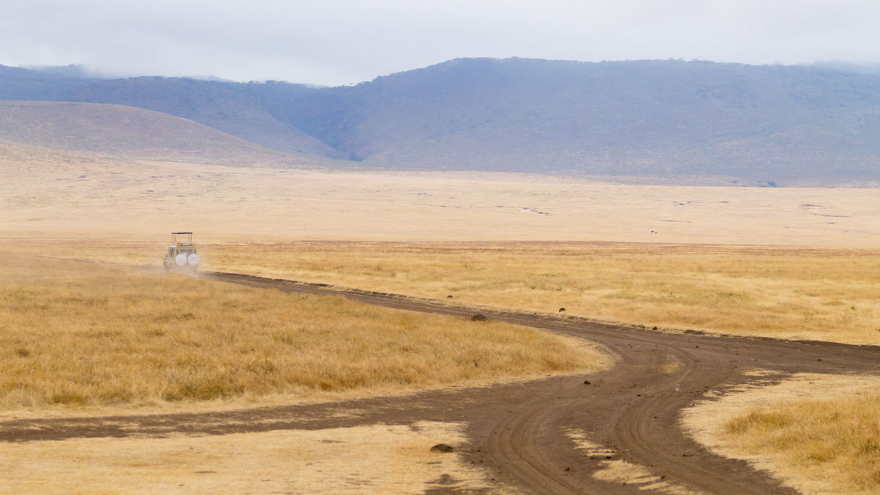 DIRT ROAD ON FIELD AGAINST MOUNTAINS