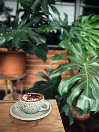 Close-up of potted plant on table