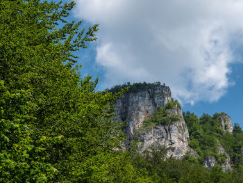 Low angle view of rocks in forest against sky