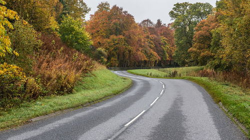 An empty winding road in the perthshire countryside with trees in their autumnal colours