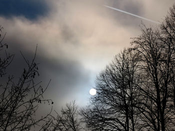 Low angle view of bare trees against sky