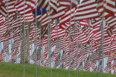 Low angle view of flags on grass