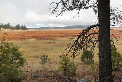 Scenic view of land against sky