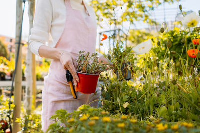 Midsection of woman holding potted plant