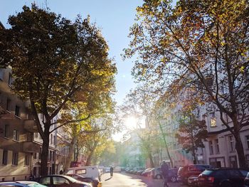 Cars on street in city against sky