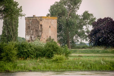 Plants by old building against sky