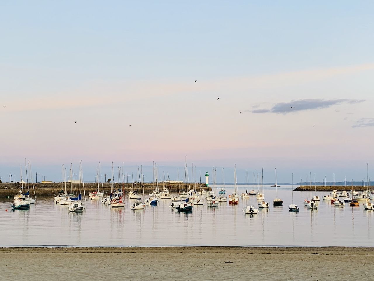 water, sky, sea, nautical vessel, transportation, mode of transportation, shore, nature, beauty in nature, bird, beach, coast, animal, scenics - nature, animal themes, tranquility, no people, marina, land, ship, wildlife, dock, harbor, animal wildlife, sailboat, travel, bay, group of animals, tranquil scene, sunset, travel destinations, vehicle, outdoors, horizon, day, large group of animals, moored, architecture, ocean, pier, reflection, cloud, idyllic, boat, environment, body of water, vacation, trip, waterfront, blue