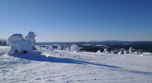 Scenic vista of snow clumping on trees atop levis fell, lapland.