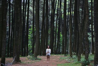Woman standing amidst trees in the forest