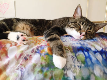 Cat sleeping on bed at home