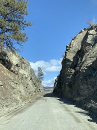 Road amidst trees against blue sky