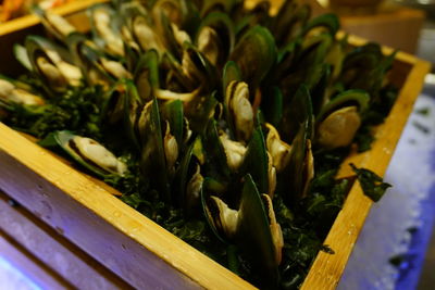 Close-up of green chili peppers on table