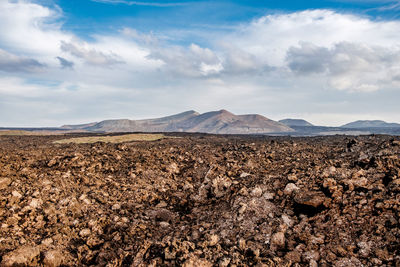 Scenic view of landscape against sky